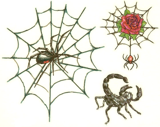 traditional spider tattoo drawing